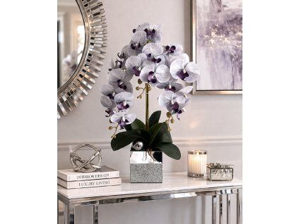 orchideasivavzrkadle