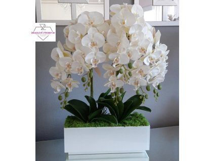 Orchidea v bielom sklenenom kvetináči