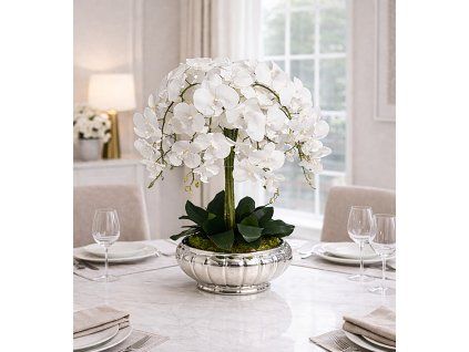 Orchidea v striebornej mise