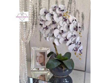 orchidsiva