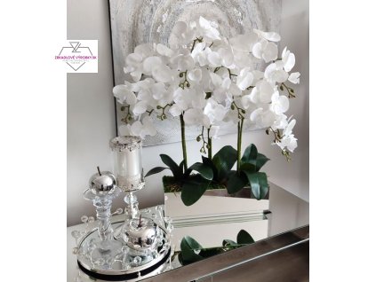 Orchidea biela v zrkadlovej nádobe