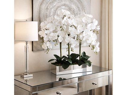 orchideabielavzrkadle