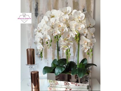 Orchidea bielo vanilková