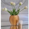 tulipanbiely