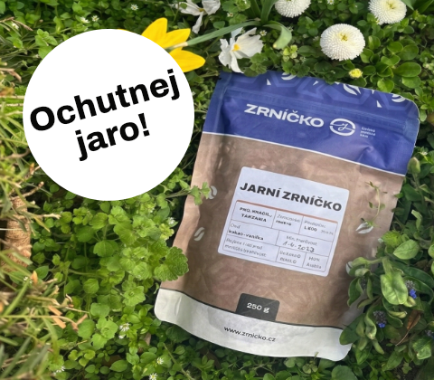 Jarní Zrníčko