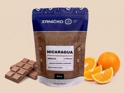 sacek 2026 nicaraua