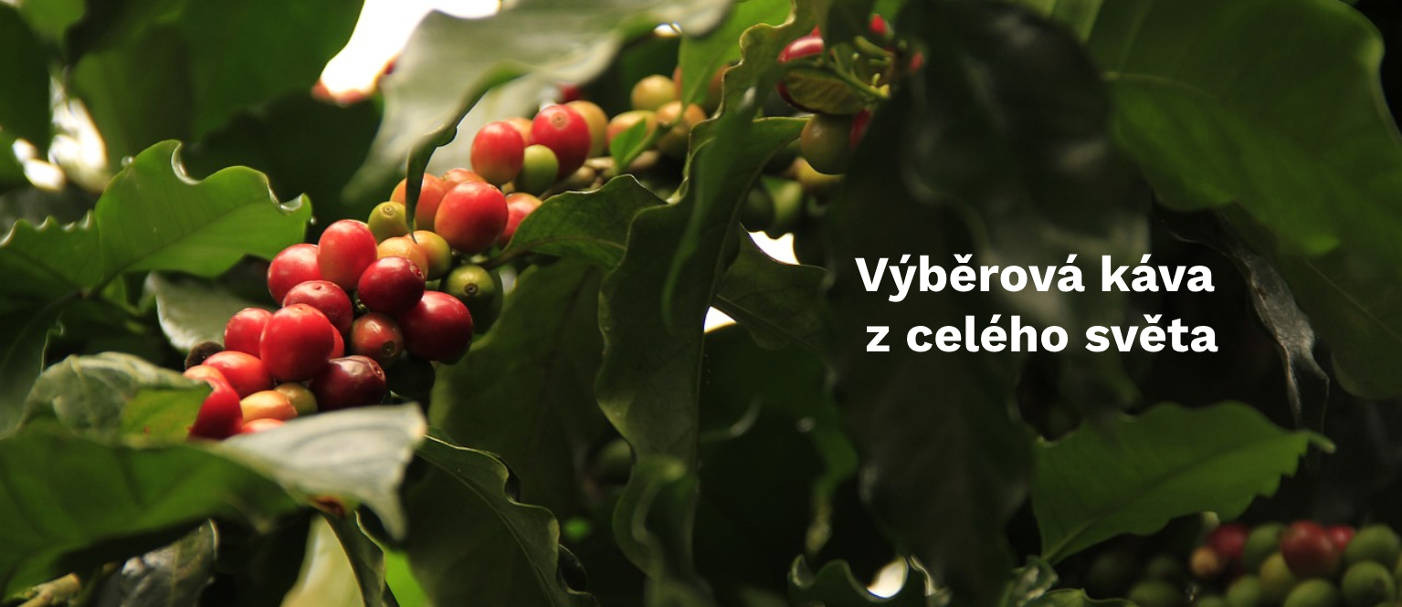 VÝBĚROVÁ KÁVA Z CELÉHO SVĚTA