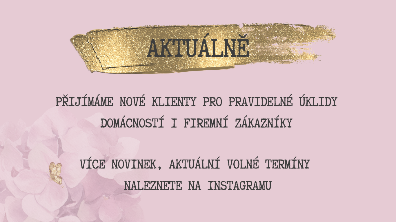 volne terminy uklidy domacnosti