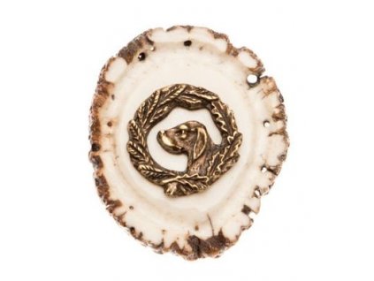 Pes (parohové bolo růže)