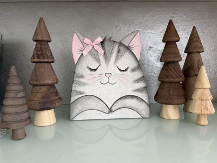 Pokladnička kočička