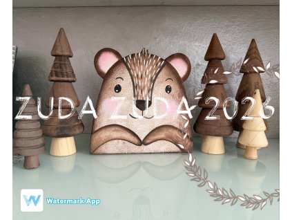 Pokladnička medvěd