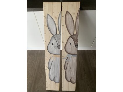 Jednoduchý metr zajíček hnědý