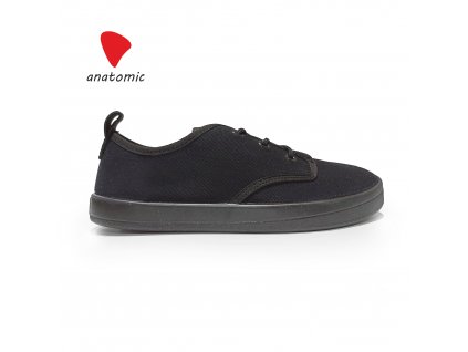 anatomic AA06 1