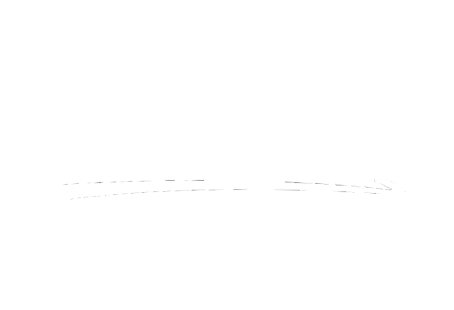 Zuliza