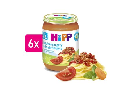 HiPP BIO Boloňské špagety 6x190g