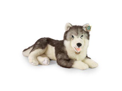 Velký plyšový pes husky 60 cm ECO-FRIENDLY