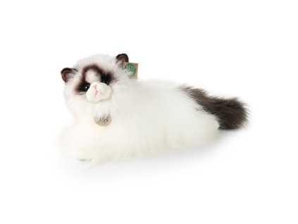 Plyšová kočka ragdoll ležící 35 cm ECO-FRIENDLY
