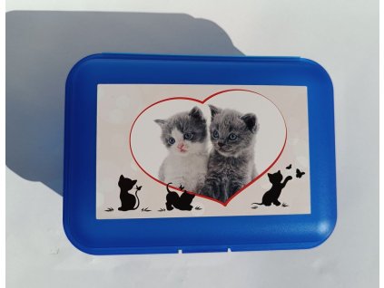 TVAR Dětský svačinový box Koťata modrý