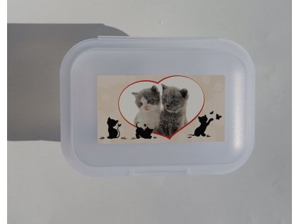 TVAR Dětský svačinový box malý Koťata