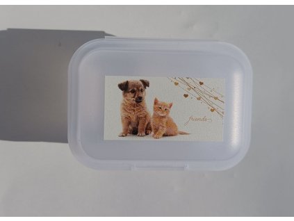 TVAR Dětský svačinový box malý Štěně a kotě