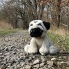 Plyšový pes mops 30 cm ECO-FRIENDLY