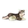 Velký plyšový pes husky 60 cm ECO-FRIENDLY