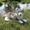 Velký plyšový pes husky 60 cm ECO-FRIENDLY