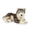 Velký plyšový pes husky 60 cm ECO-FRIENDLY