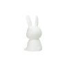 InnoGIO Éjszakai lámpa Rabbit Maxi 30cm 2