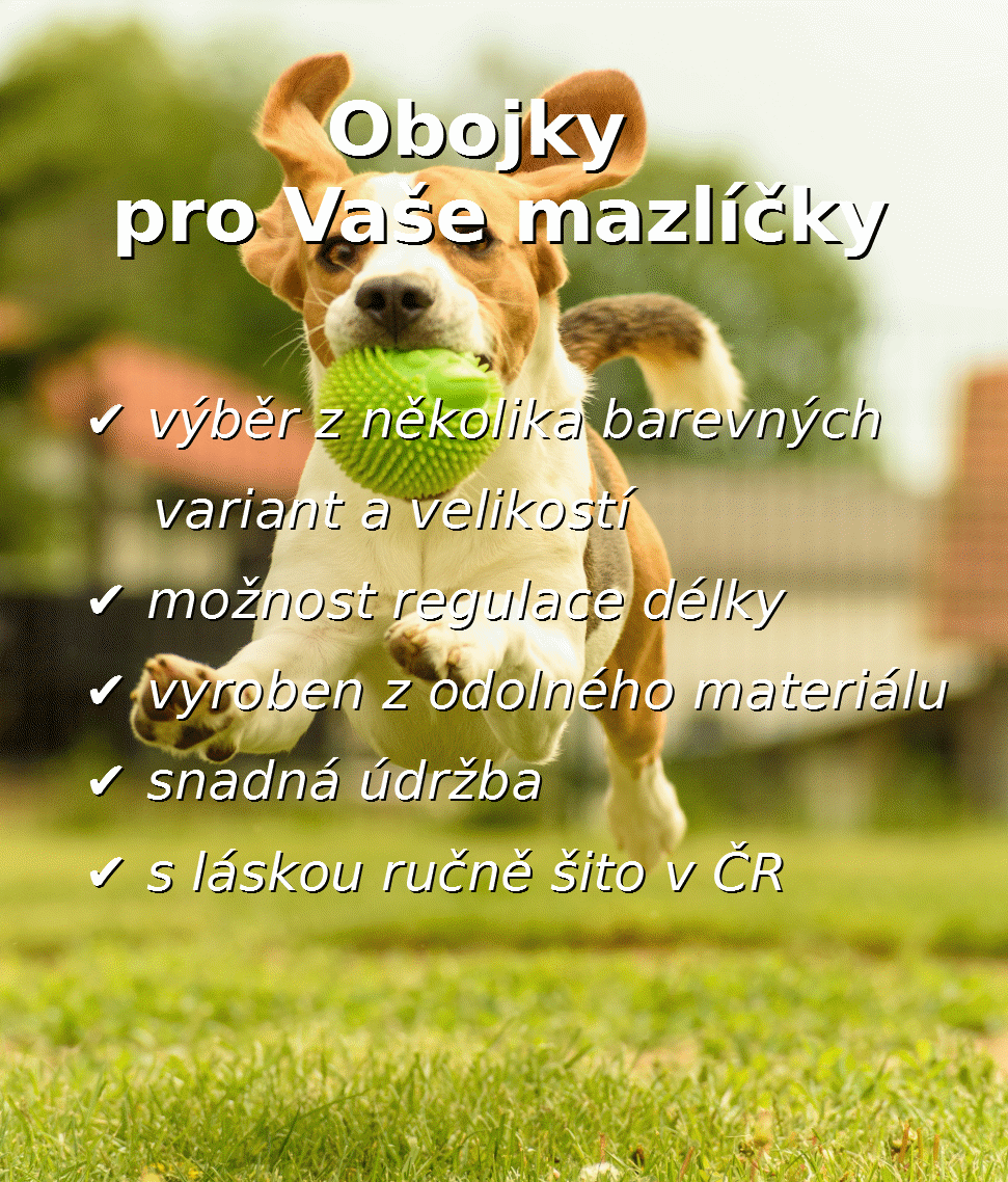 Do domácnosti