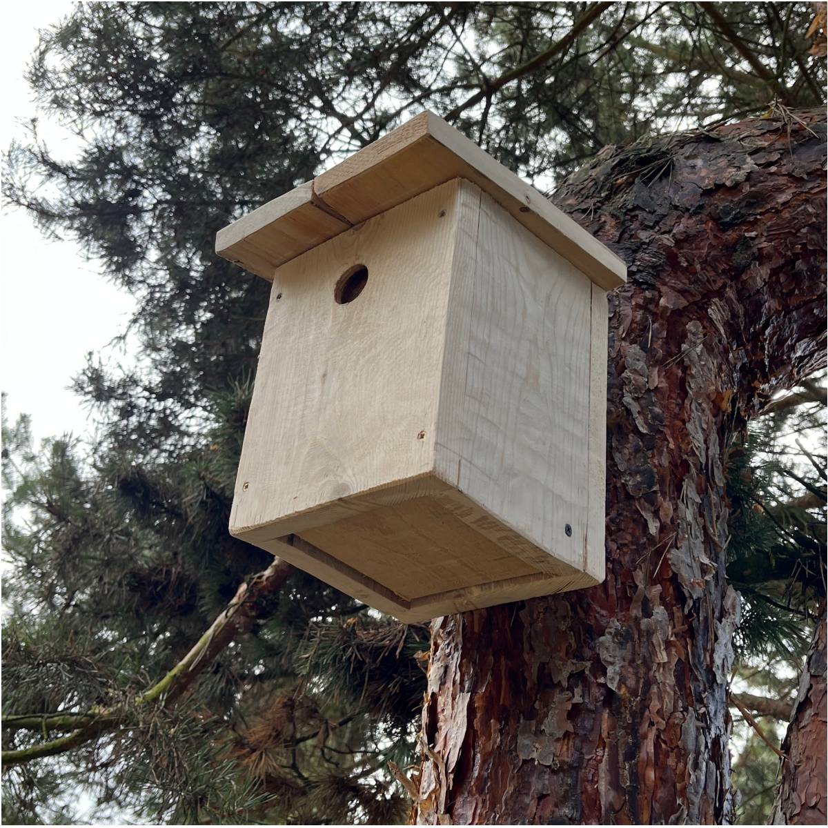 Ptačí budky - jak vybrat