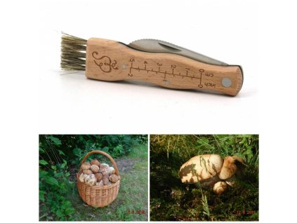 dostan obrazek shoptet.php?dir=houbarsky nuz 21cm&img=houbarsky nuz 21cm