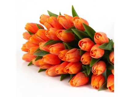 dostan obrazek shoptet.php?dir=tulipan oranzovy kvet 40cm&img=tulipan oranzovy kvet 40cm