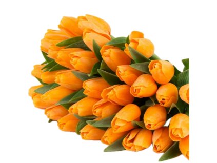 dostan obrazek shoptet.php?dir=umely tulipan svetle oranzovy 40cm&img=umely tulipan svetle oranzovy 40cm
