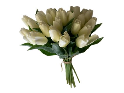 dostan obrazek shoptet.php?dir=tulipan kremovy kvet 40 cm&img=tulipan kremovy kvet 40 cm