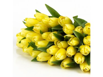 dostan obrazek shoptet.php?dir=umely tulipan svetle zluty 40cm&img=umely tulipan svetle zluty 40cm