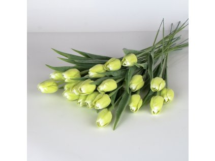 dostan obrazek shoptet.php?dir=tulipany umele zeleno bile&img=tulipany umele zeleno bile