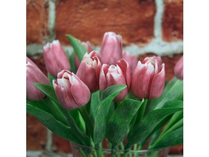 dostan obrazek shoptet.php?dir=francouzsky tulipan tmave ruzova bila 40cm&img=francouzsky tulipan tmave ruzova bila 40cm