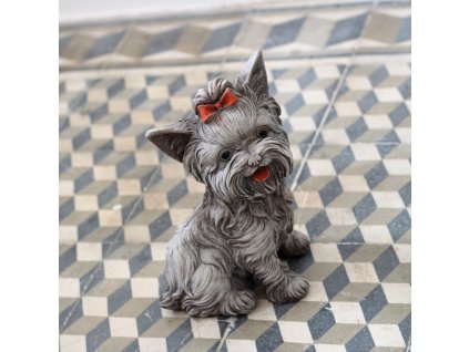 dostan obrazek shoptet.php?dir=jorksirsky terier 4kg&img=jorksirsky terier 4kg