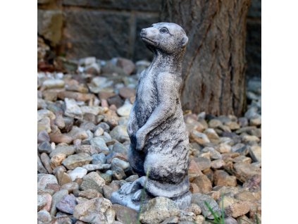 dostan obrazek shoptet.php?dir=zahradni dekorace surikata 8x9 5x26cm&img=zahradni dekorace surikata 8x9 5x26cm