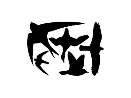 dostan obrazek shoptet.php?dir=samolepky na sklo proti ptakum&img=samolepky na sklo proti ptakum