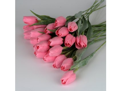 dostan obrazek shoptet.php?dir=tulipan jasne ruzovy&img=tulipan jasne ruzovy