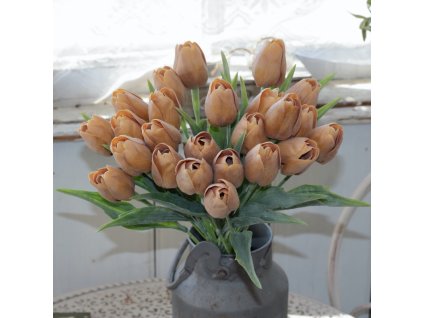 dostan obrazek shoptet.php?dir=tulipan zahradni umely svetle hnedy&img=tulipan zahradni umely svetle hnedy