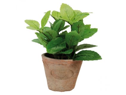 dostan obrazek shoptet.php?dir=umela mata v kvetinaci 13 8 x 13 8 x 16 2 cm&img=umela mata v kvetinaci 13 8 x 13 8 x 16 2 cm