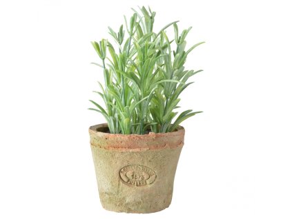 dostan obrazek shoptet.php?dir=umely rozmaryn v kvetinaci 10 5 x 10 5 x 16 5 cm&img=umely rozmaryn v kvetinaci 10 5 x 10 5 x 16 5 cm