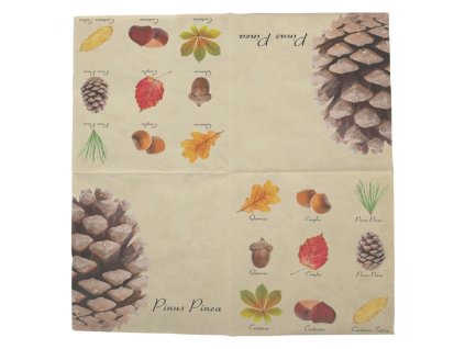 dostan obrazek shoptet.php?dir=papirove ubrousky s listy a plody stromu 33 x 33 cm baleni 20 ks&img=papirove ubrousky s listy a plody stromu 33 x 33 cm baleni 20 ks