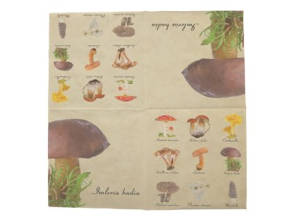 dostan obrazek shoptet.php?dir=papirove ubrousky s houbami 33 x 33 cm baleni 20 ks&img=papirove ubrousky s houbami 33 x 33 cm baleni 20 ks