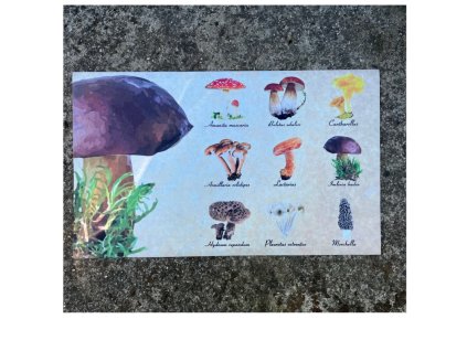 dostan obrazek shoptet.php?dir=rohozka 75 x 45 4 x 0 2 cm houby&img=rohozka 75 x 45 4 x 0 2 cm houby