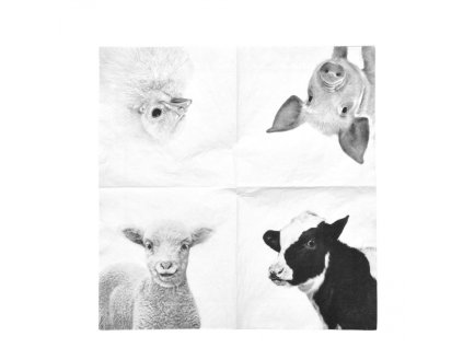 dostan obrazek shoptet.php?dir=papirove ubrousky s mladatky z farmy 25 x 25 cm&img=papirove ubrousky s mladatky z farmy 25 x 25 cm