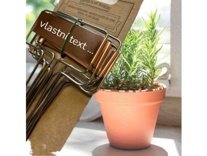 dostan obrazek shoptet.php?dir=cedulka medena zapichovaci 6 4 x 15 5 x 0 2 cm set 6 kusu&img=cedulka medena zapichovaci 6 4 x 15 5 x 0 2 cm set 6 kusu